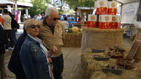 Festa da Pataca en Vilar de Barrio.
