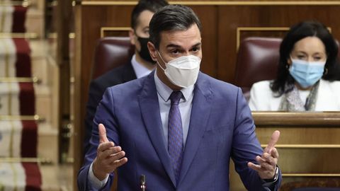 Pedro S�nchez, en un pleno del Congreso