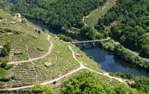 Una de las vistas del Mi�o tomadas durante el recorrido. 