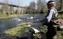 Tramo do r�o Cabe � altura de Canaval, onde se realizar�n as primeiras observaci�ns.