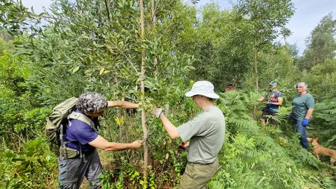 Comuneros y voluntarios eliminando la corteza de una acacia negra el pasado&nbsp;domingo en Coruxo.