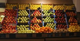 Frutas H. Barreiro en la calle Montero R�os 46