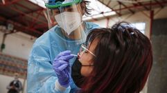 Cada d�a se hacen cientos de pruebas para detectar nuevos casos de covid