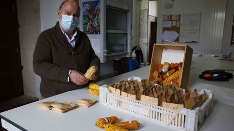 El investigador cient�fico Amando Ord�s mostrando un cultivo del banco de germoplasma