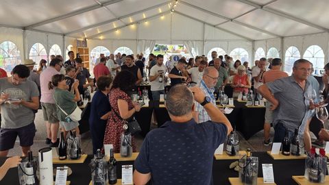 Feira do vi�o de Amandi de Sober