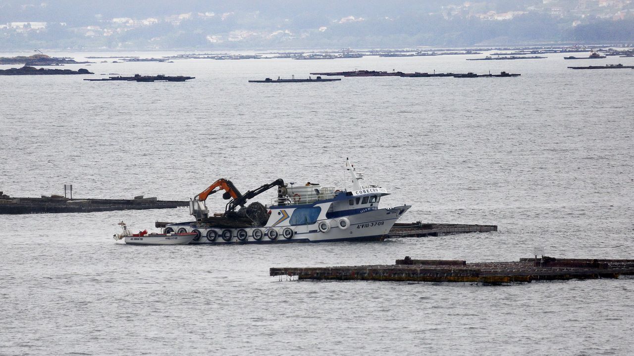 Mar de mejillones: preocupación por Arousa