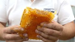 Toni D�az con un panal lleno de miel de las colmenas que atiende en O Savi�ao