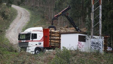 Camin cargando madera de eucalipto en Burela