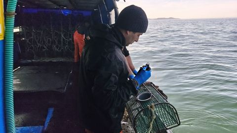 Recogiendo nasas en la r�a de Pontevedra