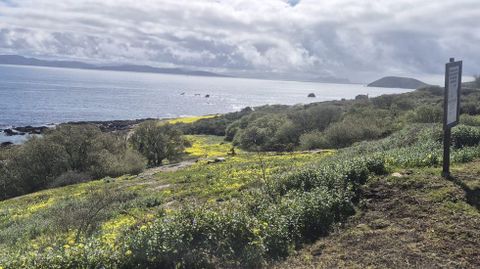 Llegada de la primavera a la isla de Ons