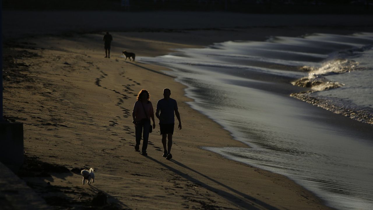 Nueva campaña para que los perros de A Coruña puedan pasear por la playa en verano
