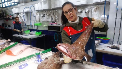 En Peixes Niki, muestran un rape, uno de los productos m�s demandados para la Navidad.