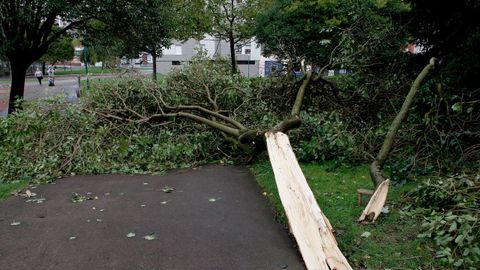 Daños ocasionados por el temporal en Gijón