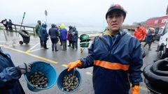 Mariscadoras de Louriz�n, a mediados de este mes, mostrando la almeja muerta por culpa de los temporales.