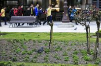 La falta de flores en los jardines de la Praza Maior provoca quejas ciudadanas. 