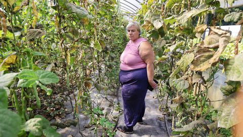 La falta de agua ya afecta a viveros como los de Ana Beatriz, una agricultora en ecol�gico de Castrelo (Cambados)