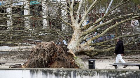 Efectos de la borrasca Kristin en Leiria
