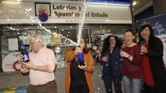El quinto premio del sorteo extraordinario de Navidad que corresponde al n�mero 00943 ha dejado 3.060.000 euros en A Coru�a en las administraciones de Los Rosales (en la imagen) y en Marineda City.