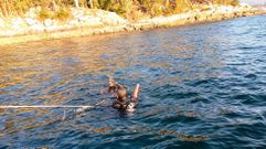 Buceadores que participaron en la exploraci�n visual del fondo marino de Tambo