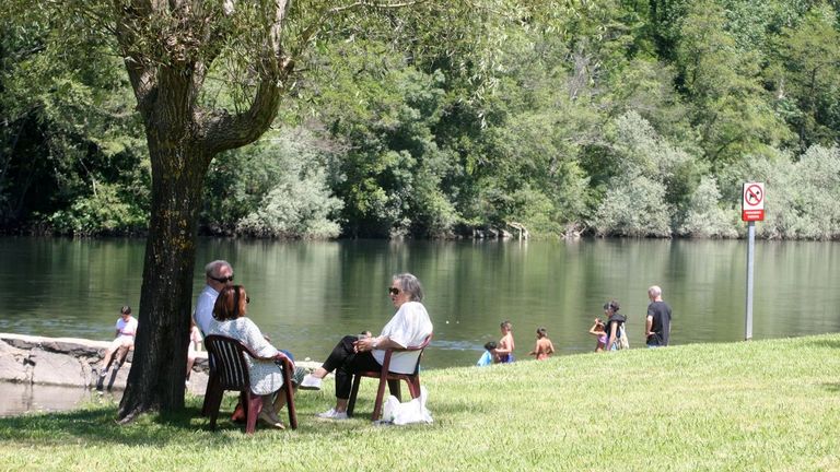 Una familia a la sombra de unos de los árboles de la playa