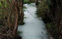 Los ecologistas advirtieron de que un kil�metro y medio del r�o qued� ayer te�ido de blanco.