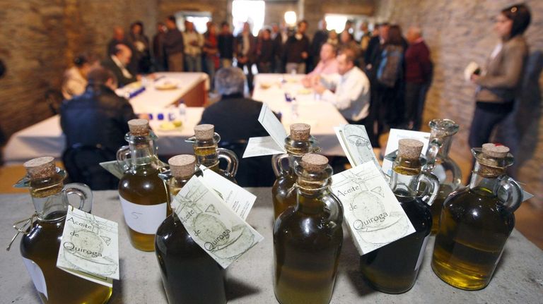 Una jornada de cata organizada dentro de la Mostra do Aceite de Quiroga