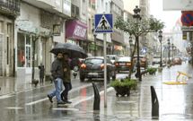 Los bomberos retiraron un �rbol en Boda�o, en Vila de Cruces