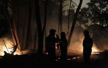 En el lugar del incendio hab�a restos de matojos que podr�an proceder de una hoguera. 