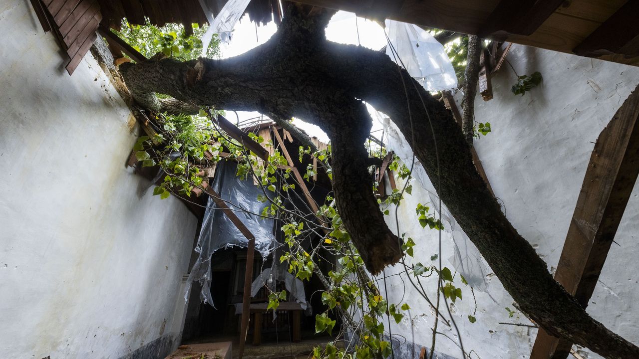 Una gran rama destroza el tejado de la emblemática capilla de San Fins do Castro, en Cabana