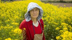 Incesante actividad en las fincas por este buen tiempo: �mira las fotos de la Costa da Morte!