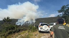 Incendio forestal en Bobor�s en nivel 2