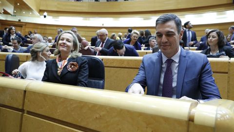 EN DIRECTO: Nuevo cara a cara de S�nchez y Feijoo en el Senado