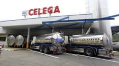 Camiones cisterna de la Cooperativa Lemos en las instalaciones de Celega