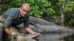 Pablo liberando un cocodrilo con transmisor satelital