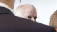 Seehofer se dirige a una reuni�n con su grupo