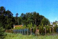 <span lang= es-es >Bobor�s</span>. El h�rreo sigue existiendo, pero la APLU oblig� a derribar esta �edificaci�n auxiliar para cenador� que hab�a sido construida en un suelo calificado como r�stico de protecci�n ordinaria.