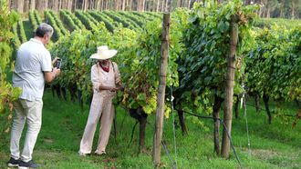 Visita a la finca de P� Redondo de Mart�n Codax