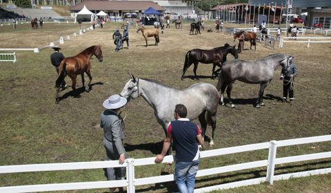 En el ring del recinto habr� clases pr�cticas. 