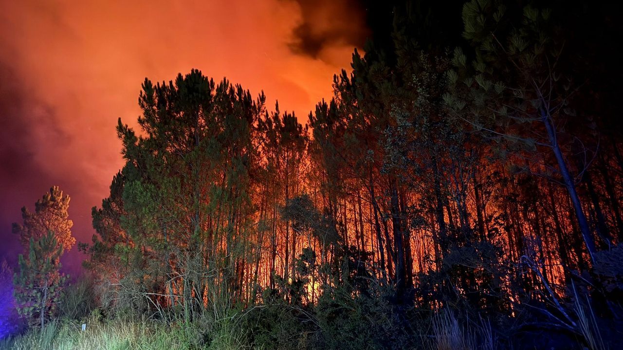 Política forestal y prevención de incendios en Galicia