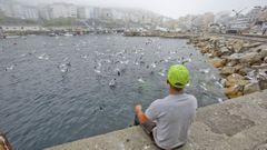 As rutas te�en como epicentro o porto de Malpica e a s�a actividade pesqueira.
