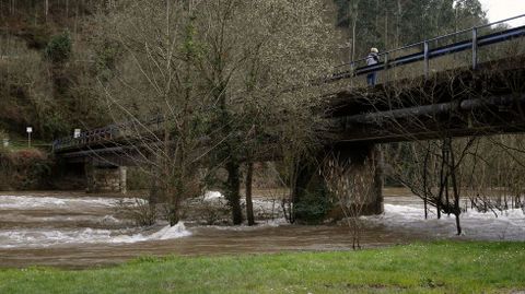 Aspecto que presenta esta tarde el r�o Narcea en la estaci�n de Quinzanas, donde registra un nivel de 2,49 metros, rozando los 2,50 con los que entrar�a en nivel de prealerta,