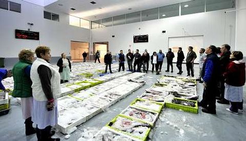 Los socios de la cofrad�a subastan la mercanc�a en la nueva lonja desde el pasado lunes.