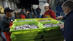 Descarga de lirio en el puerto de Ribeira