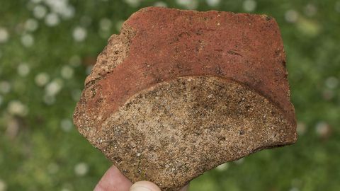 Fragmento de cermica hallado en el castro de Leira Rapada