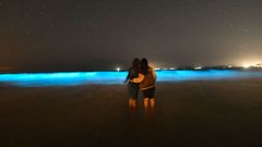 El mar de ardora se ha convertido en un atractivo.