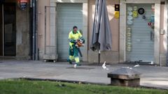 Las sopladoras de gasolina se utilizan para retirar hojas y basura viaria