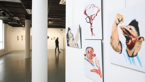 Una parte de la exposici&oacute;n  Caricaturistas de profesi&oacute;n  en el Museo do Humor Xaqu&iacute;n Mar&iacute;n (Fene)