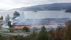 El grano acumulado en la antigua nave de Pontesa sigue �en combusti�n� siete d�as despu�s del incendio