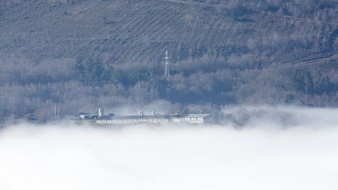 VISTA DE LA NIEBLA QUE CUBRE EL CA��N DEL SIL DESDE EL MIRADOR DE A CIVIDADE, EN SOBER