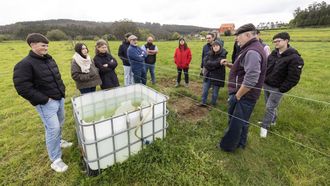 El programa incluy&oacute; una visita a la Ganader&iacute;a Casais.